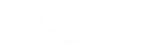 saachi insurance logo white